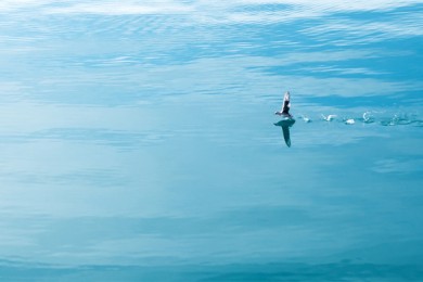 海南主要景点有哪些名称 海南主要景点有哪些名称和介绍