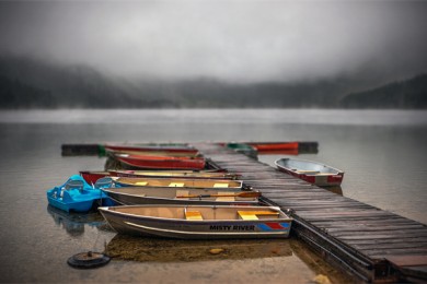 宜宾哪里可以买到特产水果 宜宾哪里批发水果便宜